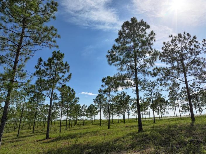 Image No.4-Propriété de 3 chambres à vendre à Haines City