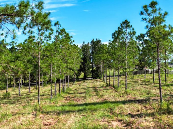 Image No.51-Propriété de 3 chambres à vendre à Haines City