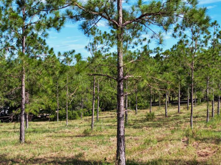 Image No.55-Propriété de 3 chambres à vendre à Haines City