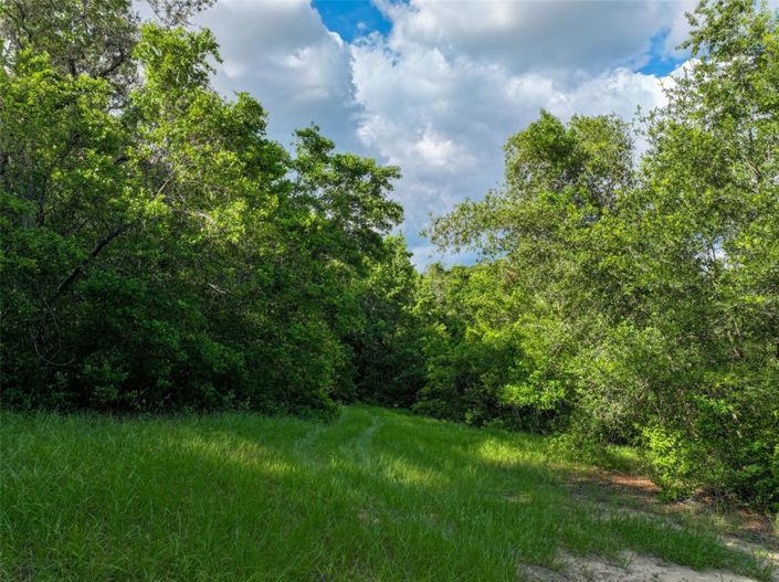 Image No.62-Propriété de 3 chambres à vendre à Haines City