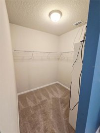 d137d16e