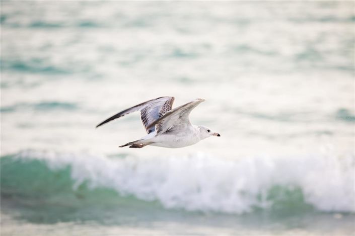 Image No.54-3 Bed Property for sale