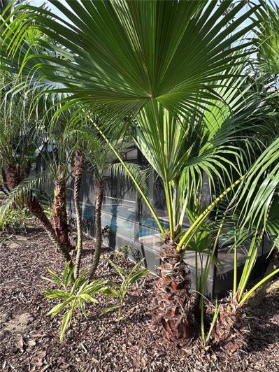 Image No.81-Propriété de 5 chambres à vendre à Davenport