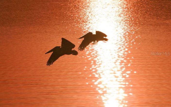 Image No.73-3 Bed Property for sale