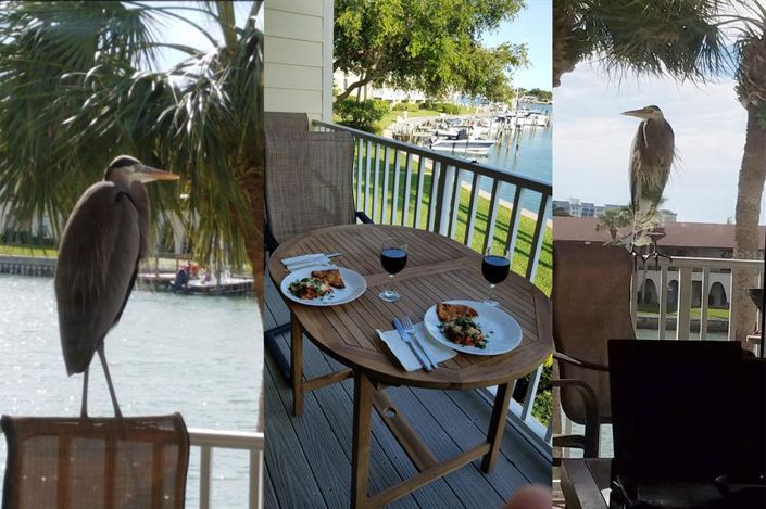 Image No.11-Maison de ville de 2 chambres à vendre à Treasure Island