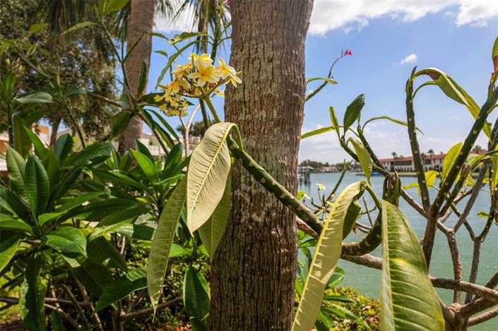 Image No.78-Maison de ville de 2 chambres à vendre à Treasure Island