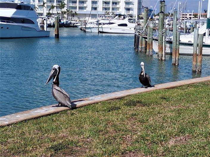 Image No.32-Propriété de 2 chambres à vendre à St. Petersburg