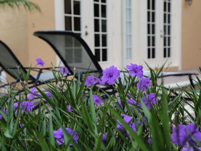 Image No.33-5 Bed Property for sale