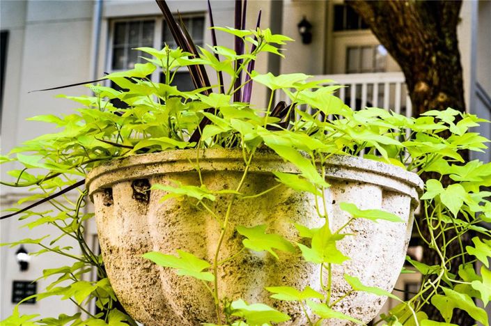 Image No.24-2 Bed Property for sale