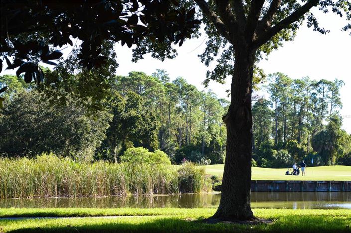 Image No.26-2 Bed Property for sale