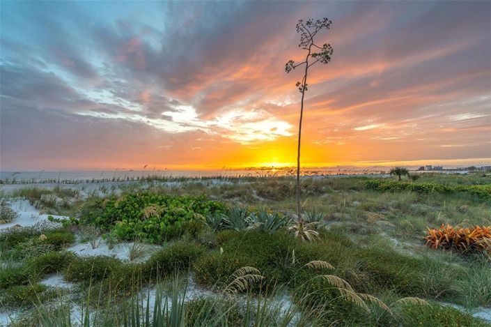 Image No.43-2 Bed Property for sale