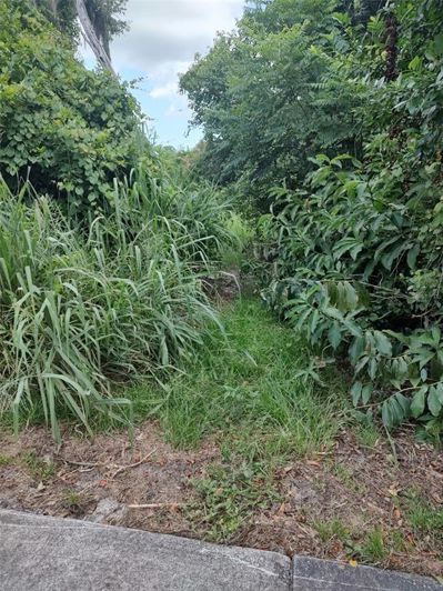 Image No.39-Propriété de 4 chambres à vendre à Windermere