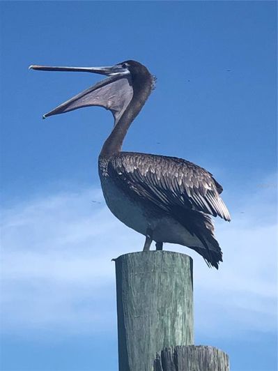 Image No.57-2 Bed Property for sale