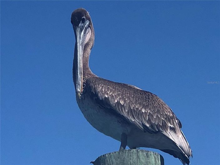 Image No.58-2 Bed Property for sale