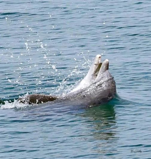 Image No.3-3 Bed Property for sale