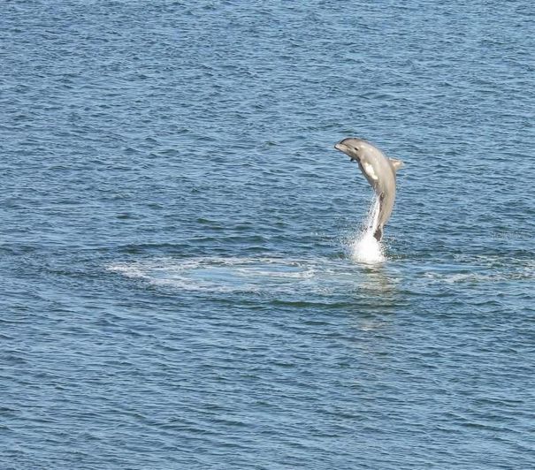 Image No.51-3 Bed Property for sale