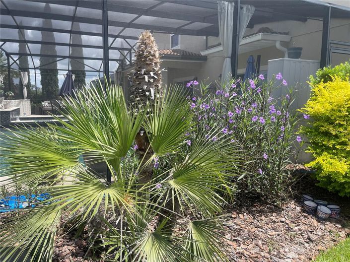 Image No.83-5 Bed Property for sale