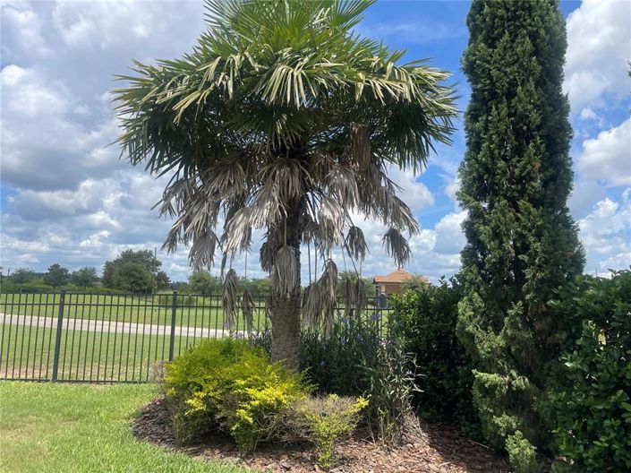 Image No.89-5 Bed Property for sale