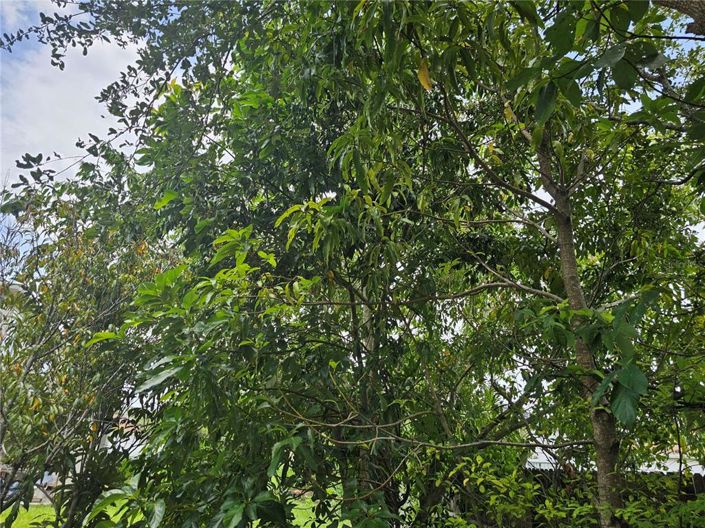 Image No.26-Propriété de 4 chambres à vendre à Kissimmee