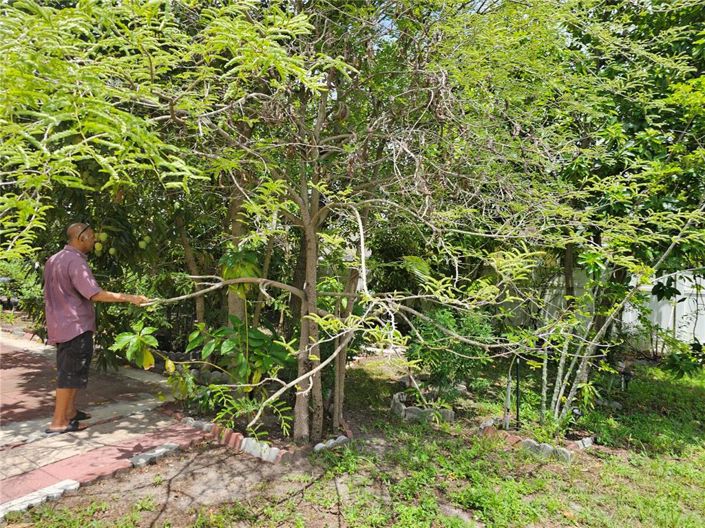 Image No.32-Propriété de 4 chambres à vendre à Kissimmee