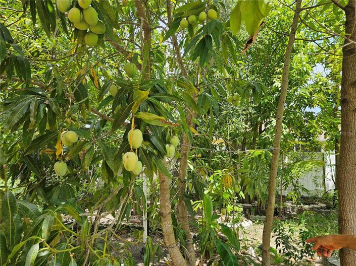 Image No.33-Propriété de 4 chambres à vendre à Kissimmee