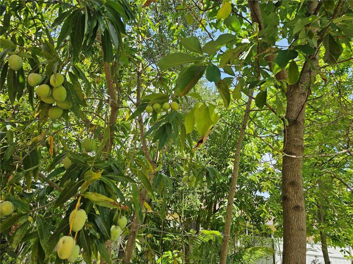 Image No.39-Propriété de 4 chambres à vendre à Kissimmee