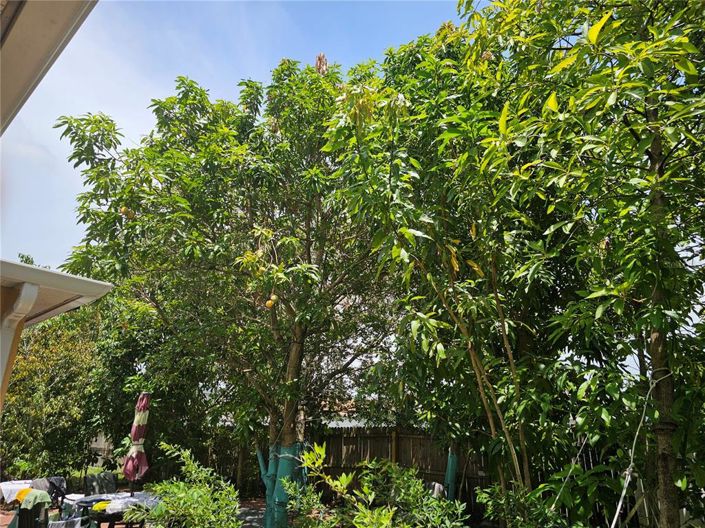 Image No.41-Propriété de 4 chambres à vendre à Kissimmee