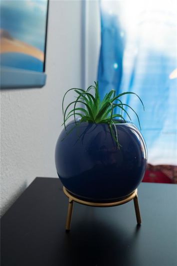 Image No.52-Propriété de 9 chambres à vendre à Kissimmee