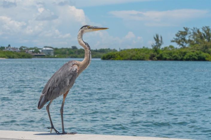 Image No.79-3 Bed Property for sale