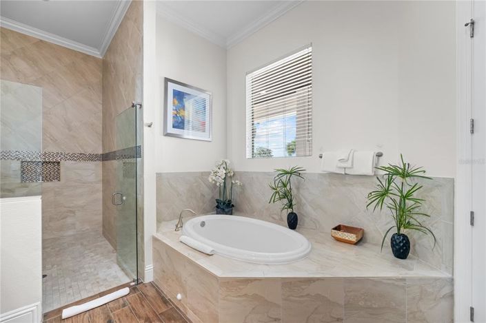 Image No.61-11 Bed Property for sale