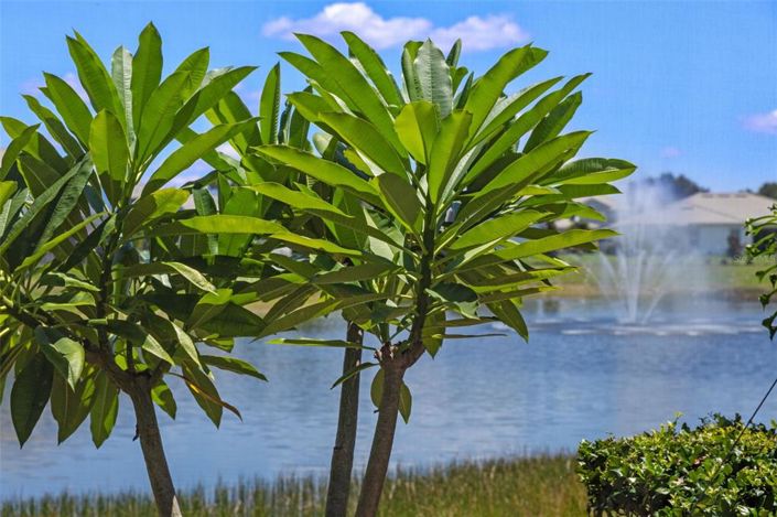 Image No.41-Propriété de 4 chambres à vendre à Davenport