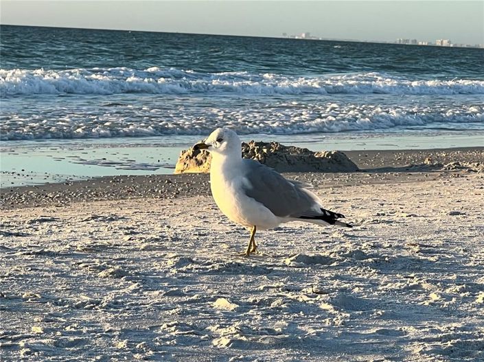 Image No.48-3 Bed Townhouse for sale