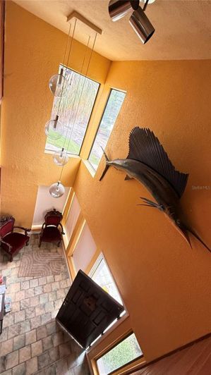 Image No.39-Propriété de 3 chambres à vendre à St. Pete Beach