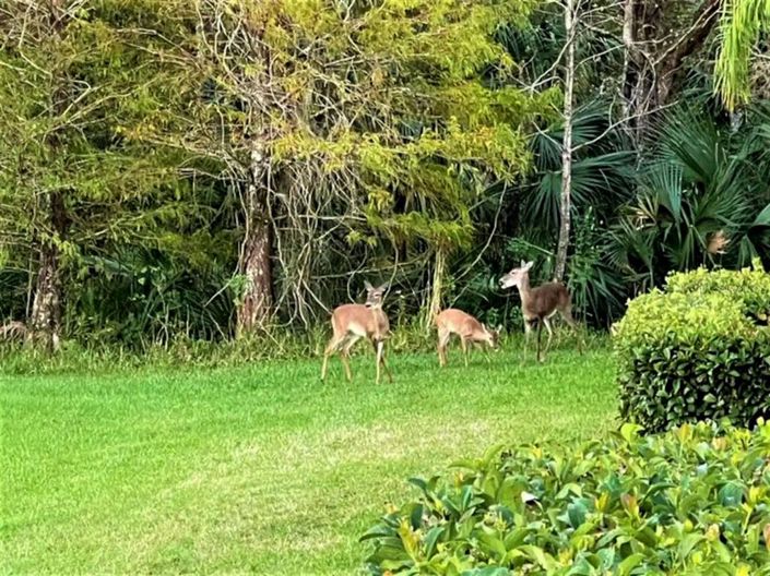 Image No.51-4 Bed Townhouse for sale