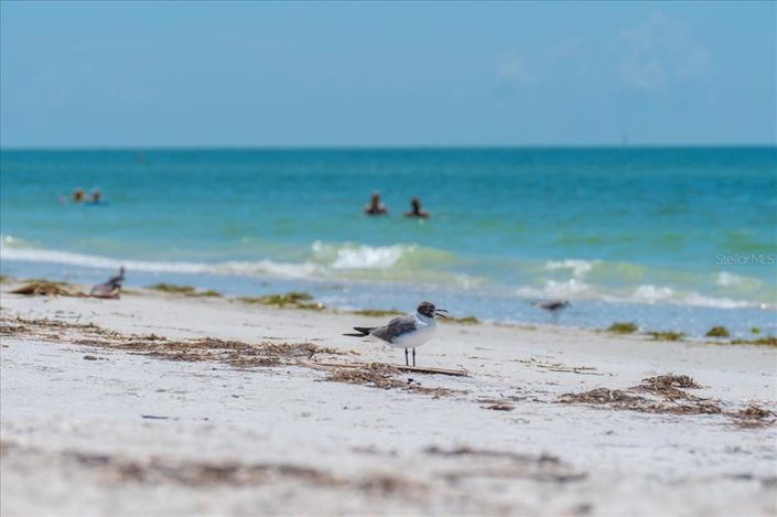Image No.30-Propriété de 3 chambres à vendre à Floride