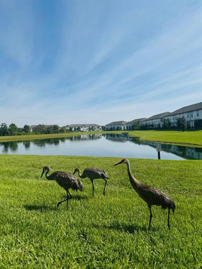 Image No.43-Maison de ville de 3 chambres à vendre à Davenport