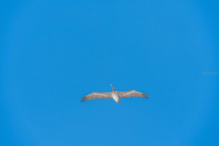 Image No.48-4 Bed Property for sale