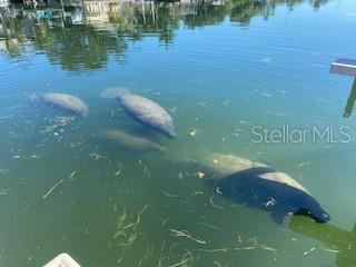 Image No.39-2 Bed Townhouse for sale