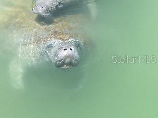 Image No.8-2 Bed Townhouse for sale