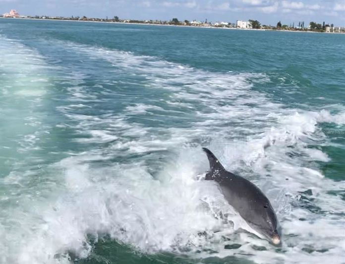 Image No.42-3 Bed Townhouse for sale