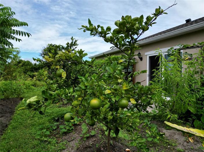 Image No.18-4 Bed Property for sale