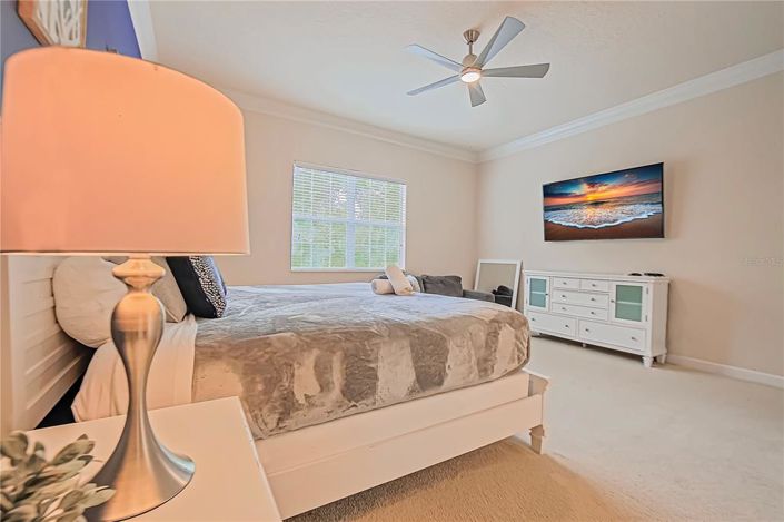 Image No.29-Propriété de 5 chambres à vendre à Reunion