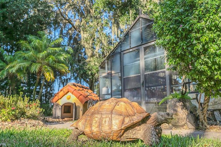 Image No.69-7 Bed Property for sale