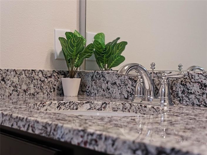 Image No.51-Propriété de 10 chambres à vendre à Davenport