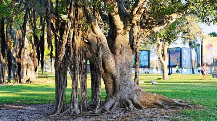 Image No.56-Propriété de 3 chambres à vendre à Sarasota