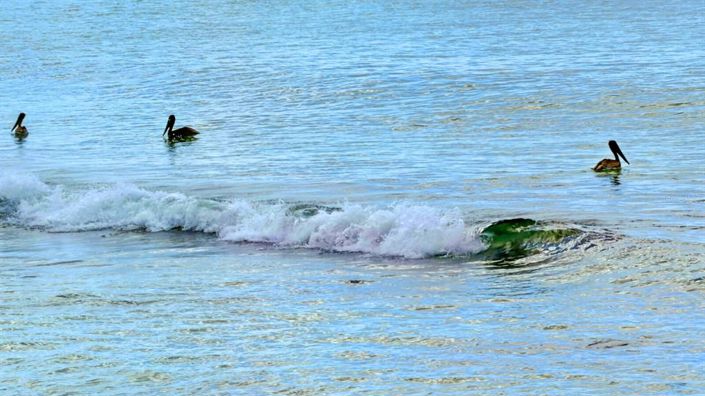 Image No.25-4 Bed Property for sale