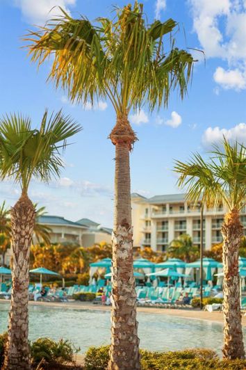 Image No.83-4 Bed Property for sale