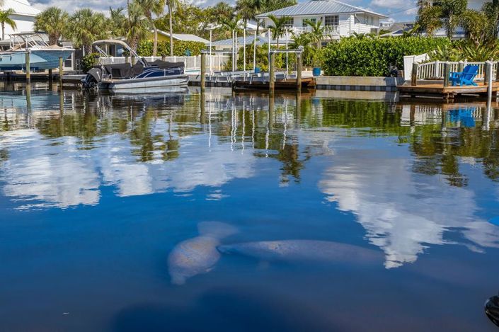 Image No.76-Propriété de 5 chambres à vendre à Holmes Beach