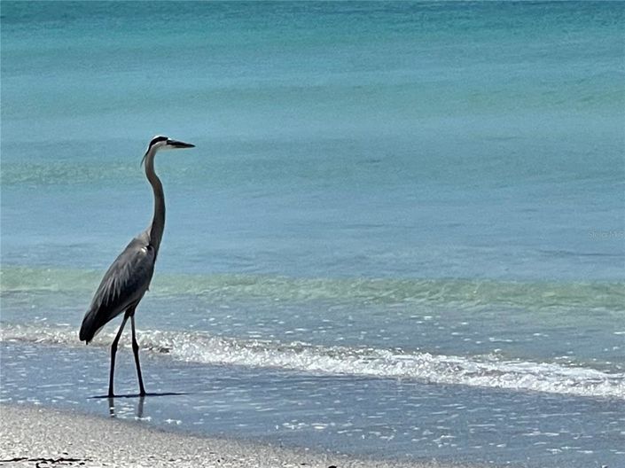 Image No.36-Propriété de 3 chambres à vendre à Longboat Key