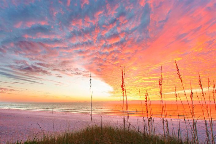 Image No.55-1 Bed Property for sale